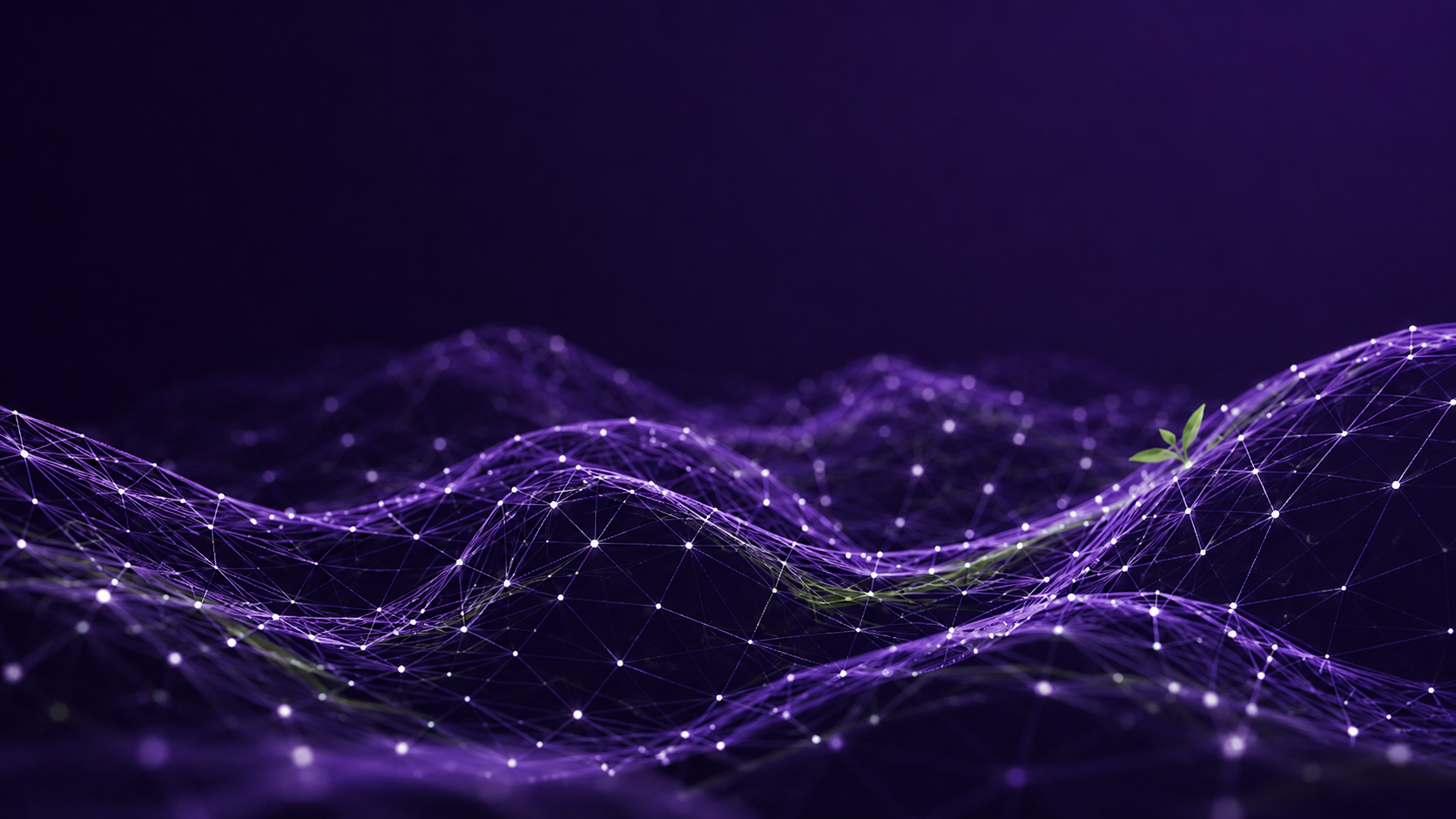 Una red de conexiones luminosas, flexible, pero fuerte y una planta que emerge del sistema. Una imagen que sostiene la idea central de Alinea y Avanza™.